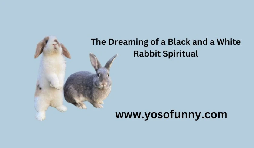 What You Know Dreaming of a Black and a White Rabbit Spiritual?