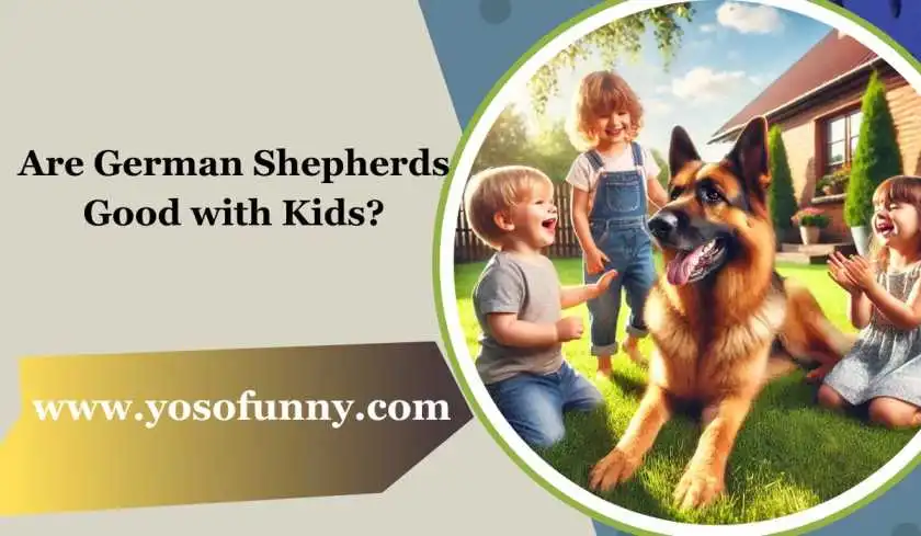 Are German Shepherds Good With Kids?