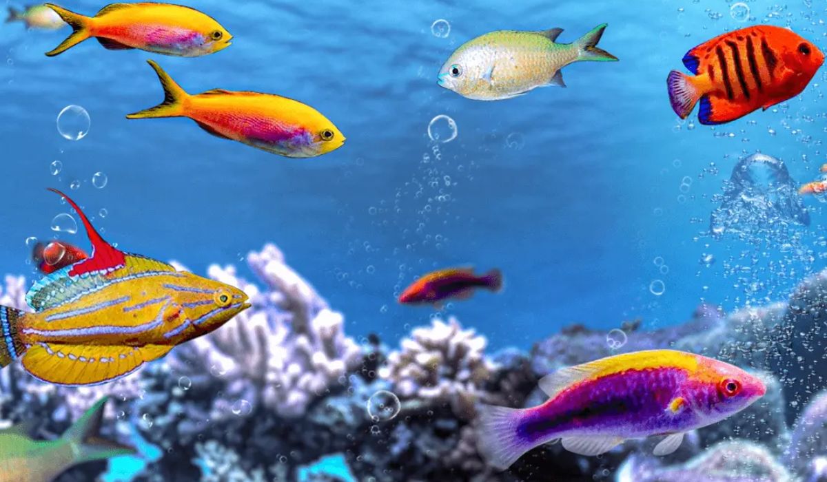 Saltwater Fish That Love Reefs – Top R...